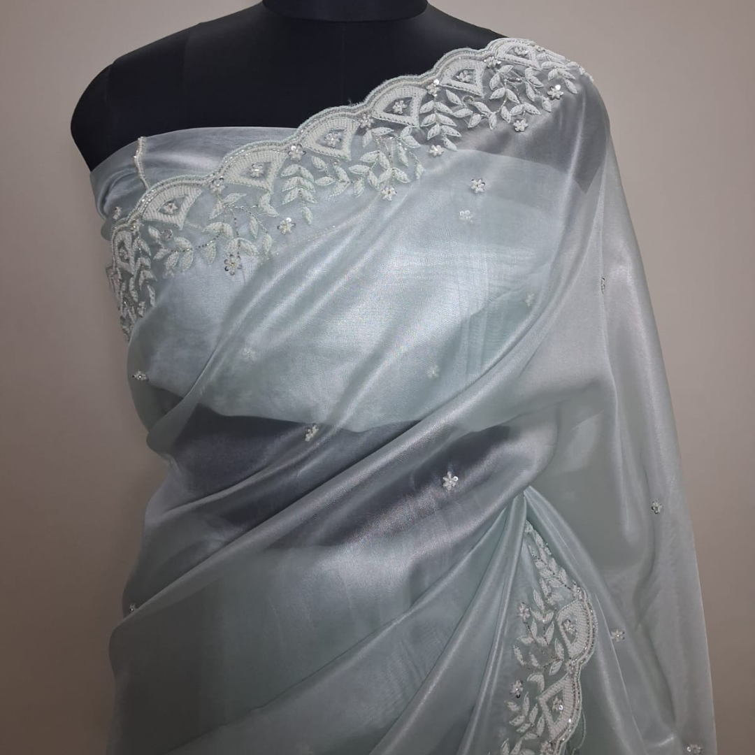 Pastel Tissue Net Saree With Moti Work