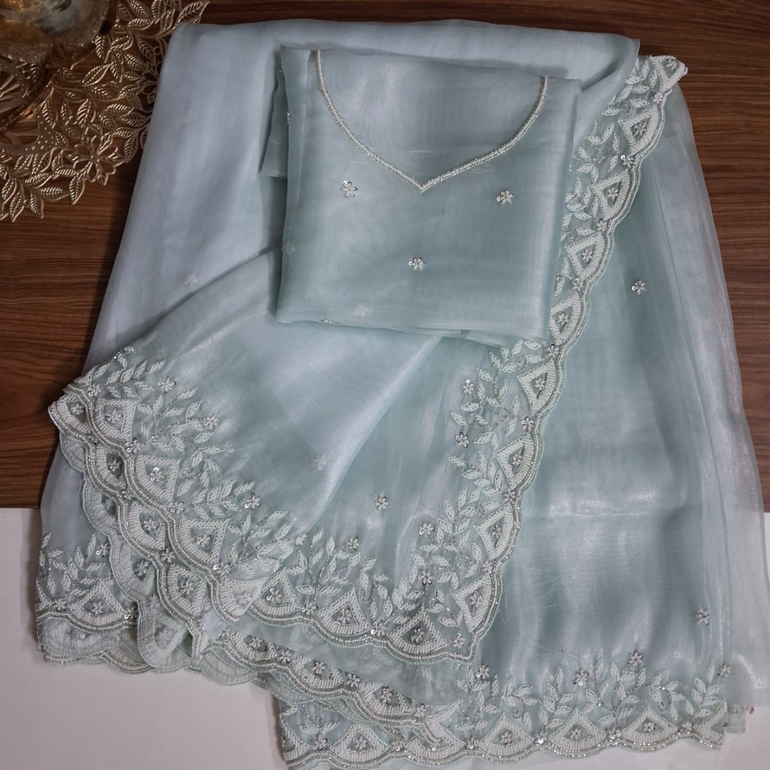 Pastel Tissue Net Saree With Moti Work
