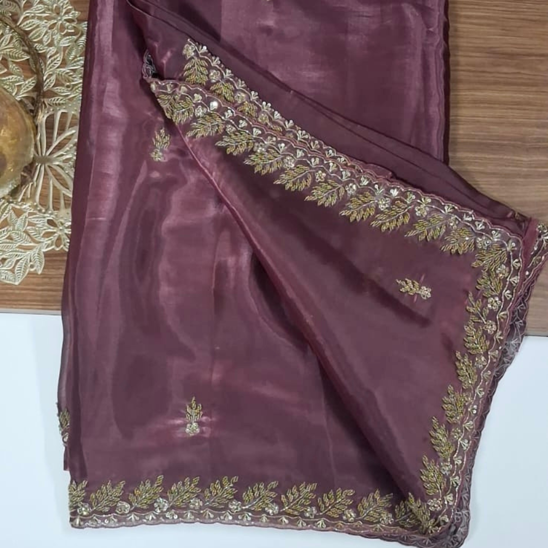 Tissue Saree with Elegant Handwork