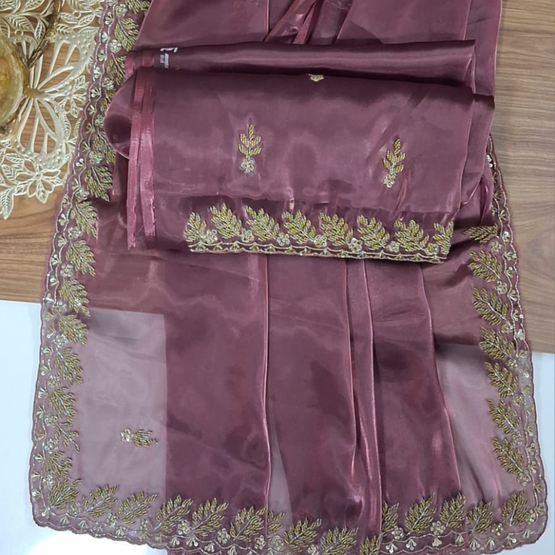 Tissue Saree with Elegant Handwork